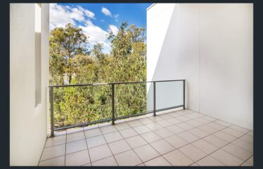 16 Acacia/154 Musgrave Avenue