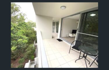 12 Casuarina /154 Musgrave Ave